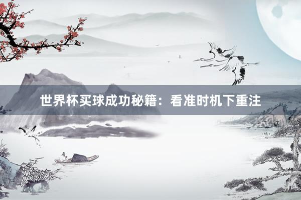 世界杯买球成功秘籍：看准时机下重注
