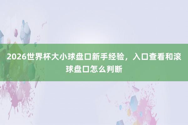 2026世界杯大小球盘口新手经验，入口查看和滚球盘口怎么判断